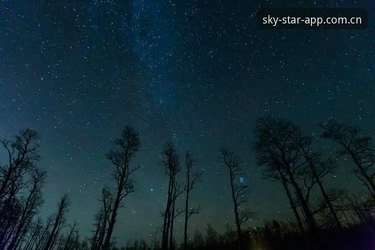 Starry Sky APP全面评测：62.1 MB的安装包能否承载赛事与登录的平衡？